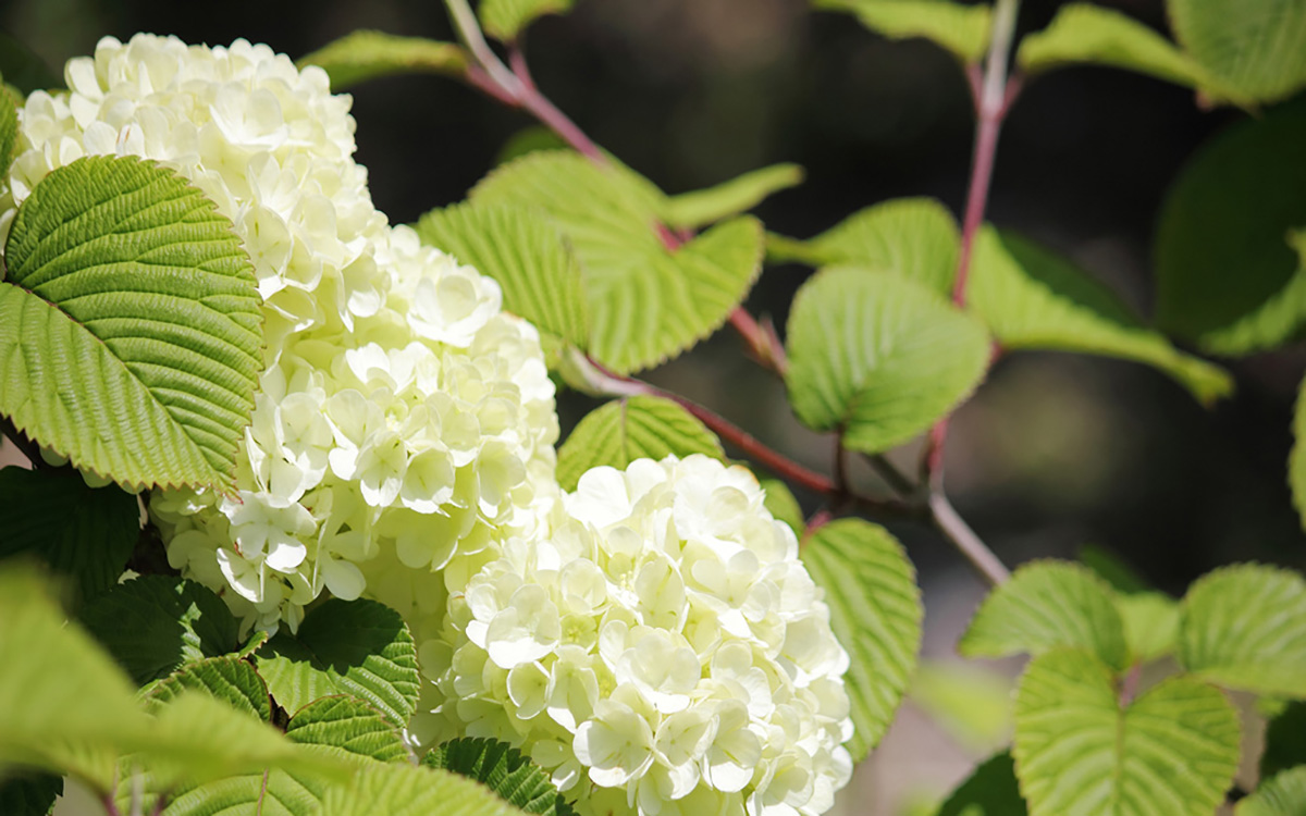デザインも自由自在にカスタマイズ可能！